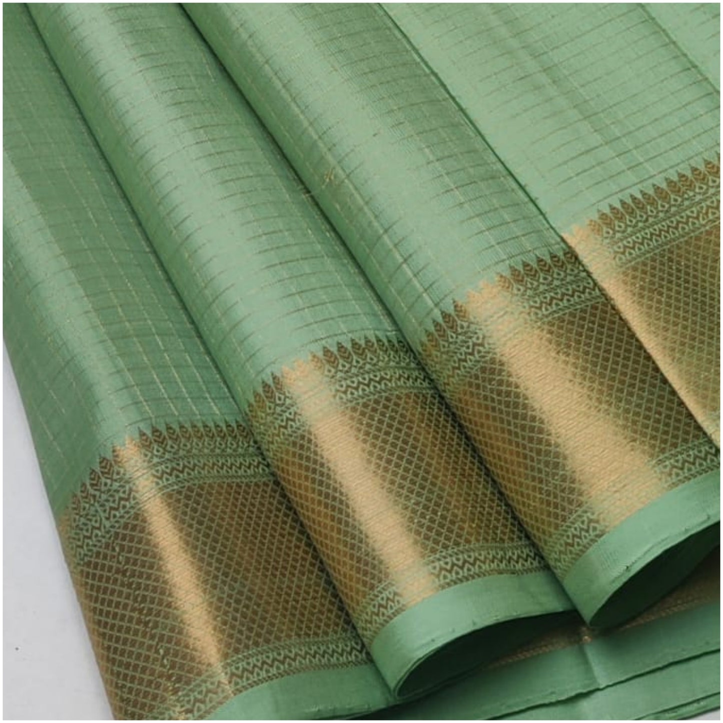 Tamur Pastel Green Pure Handloom Double Warp Soft Silk Saree
