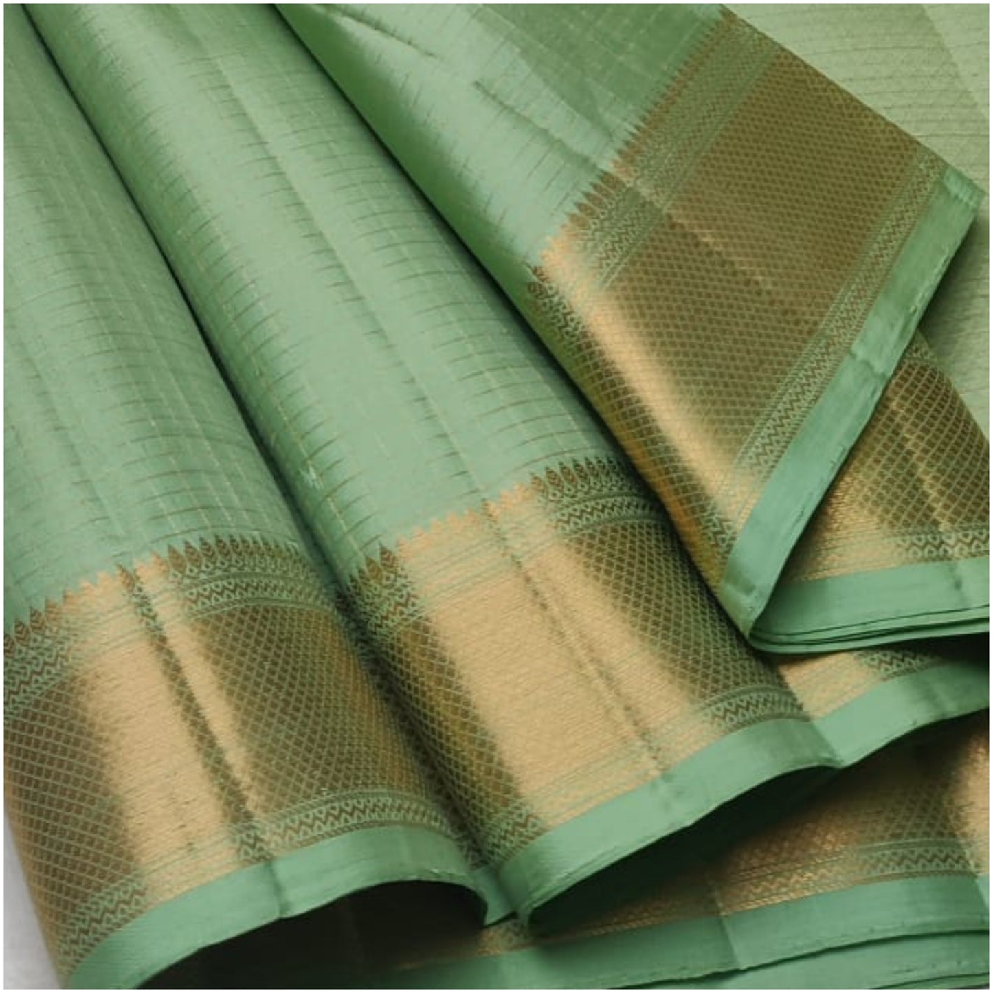 Tamur Pastel Green Pure Handloom Double Warp Soft Silk Saree